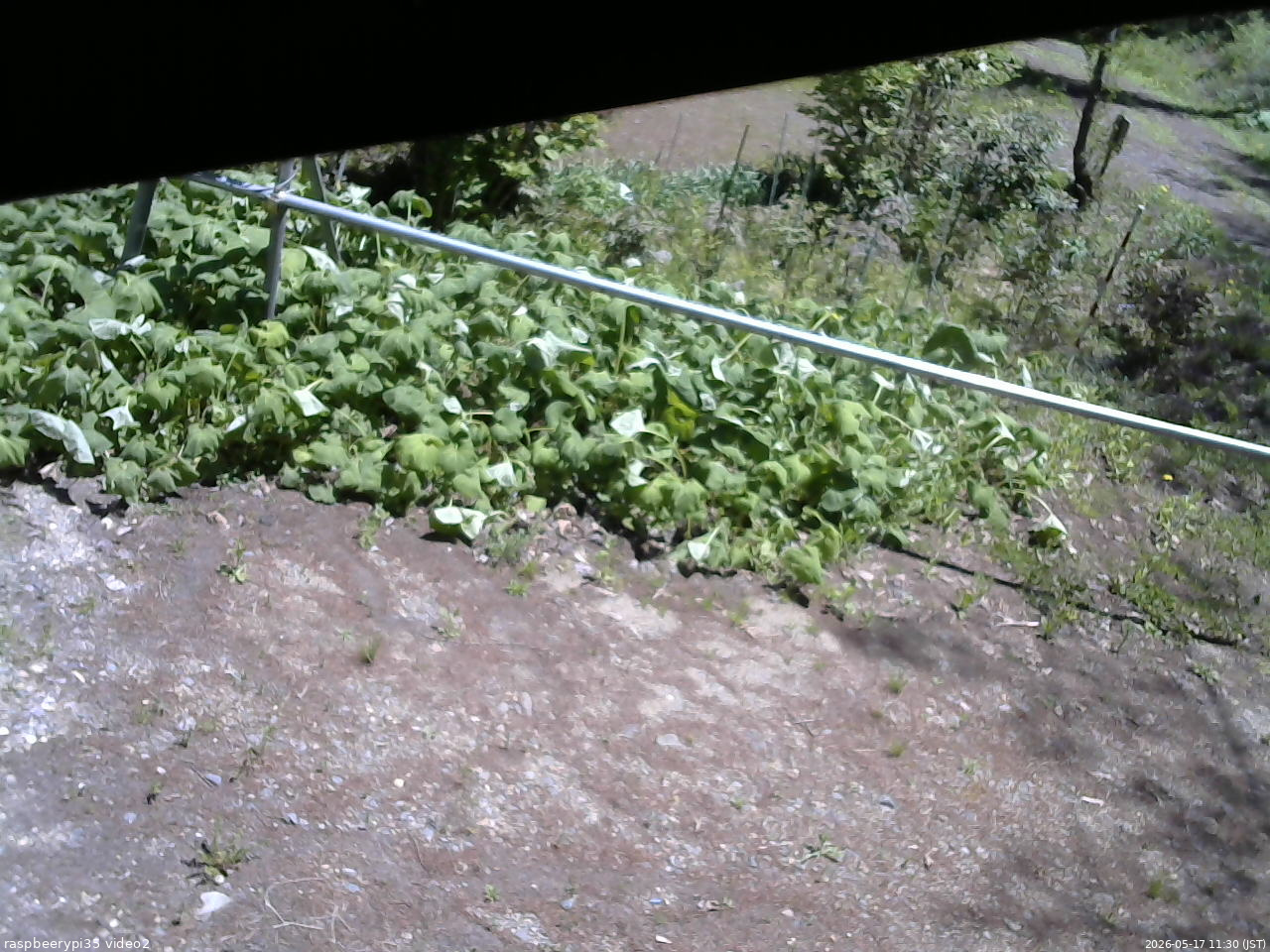 長野県菅平高原 ゆたか山荘 駐車場 2026/05/17 11:30