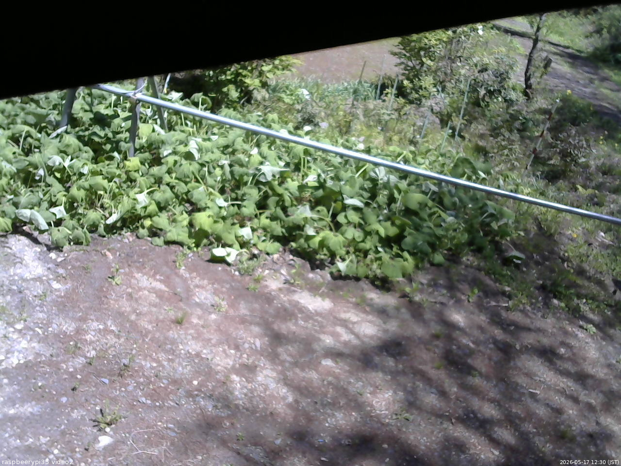 長野県菅平高原 ゆたか山荘 駐車場 2026/05/17 12:30