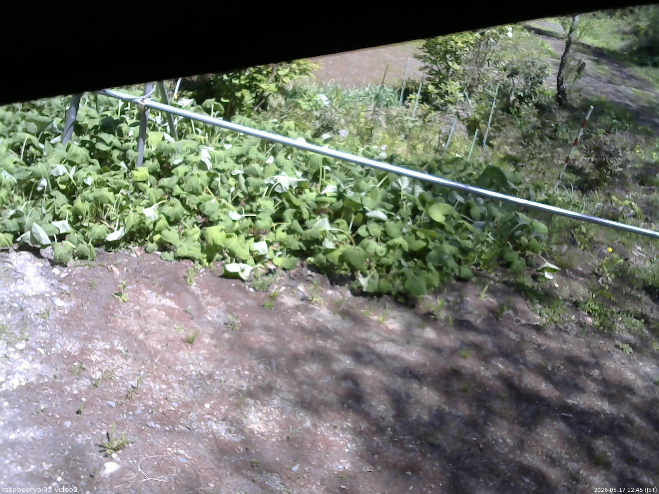 長野県菅平高原 ゆたか山荘 駐車場 2026/05/17 12:45