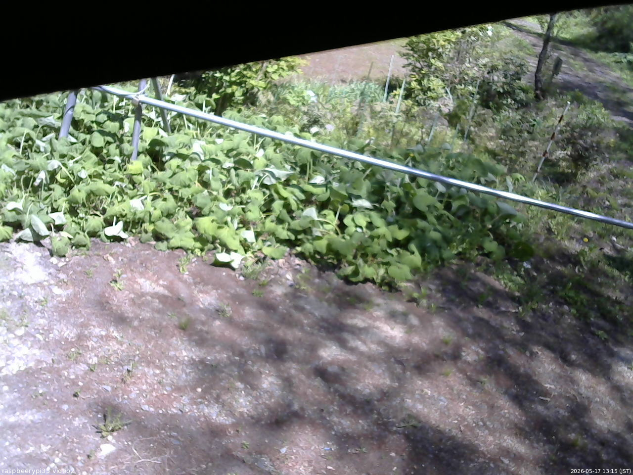 長野県菅平高原 ゆたか山荘 駐車場 2026/05/17 13:15