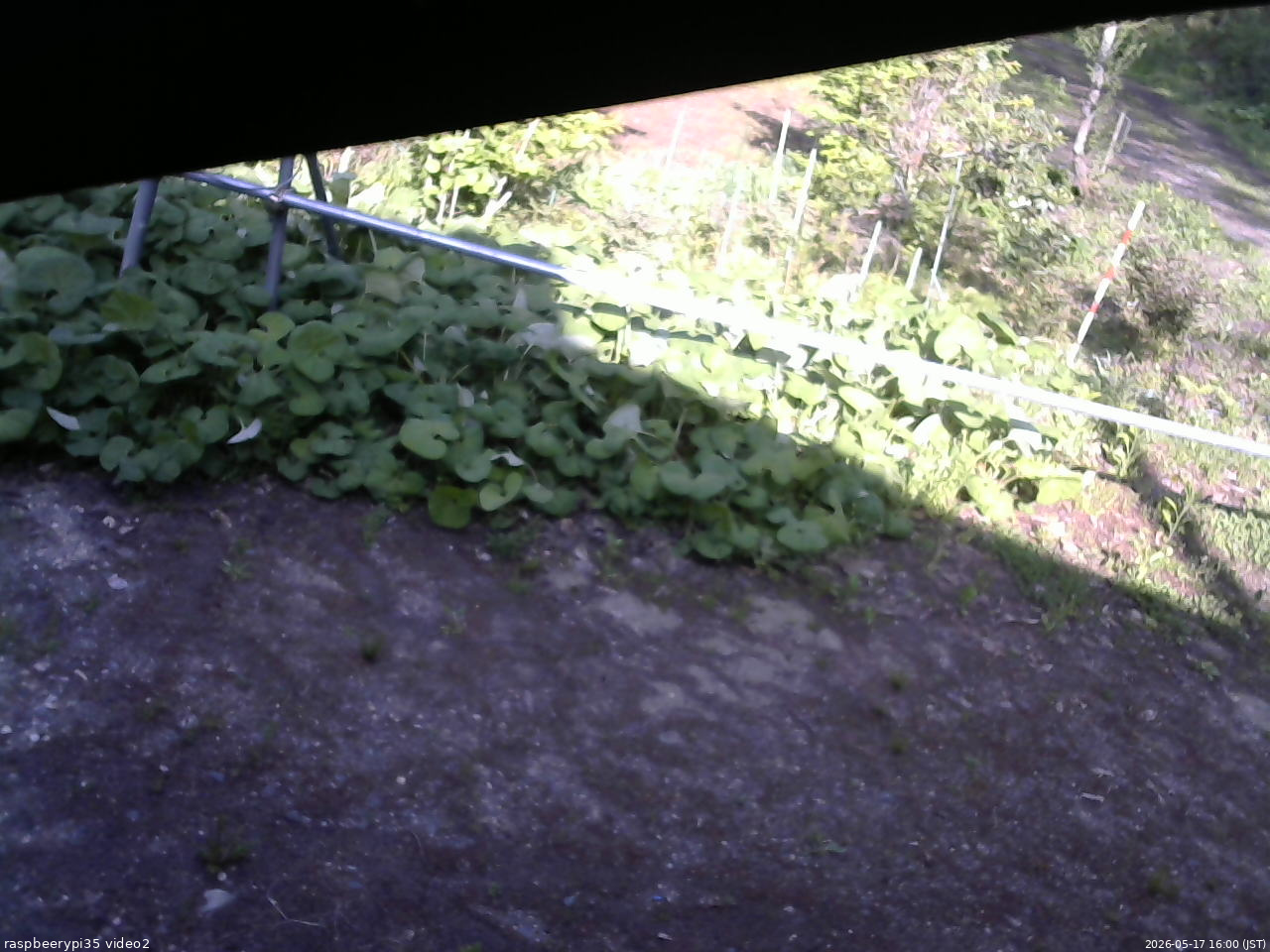 長野県菅平高原 ゆたか山荘 駐車場 2026/05/17 16:00