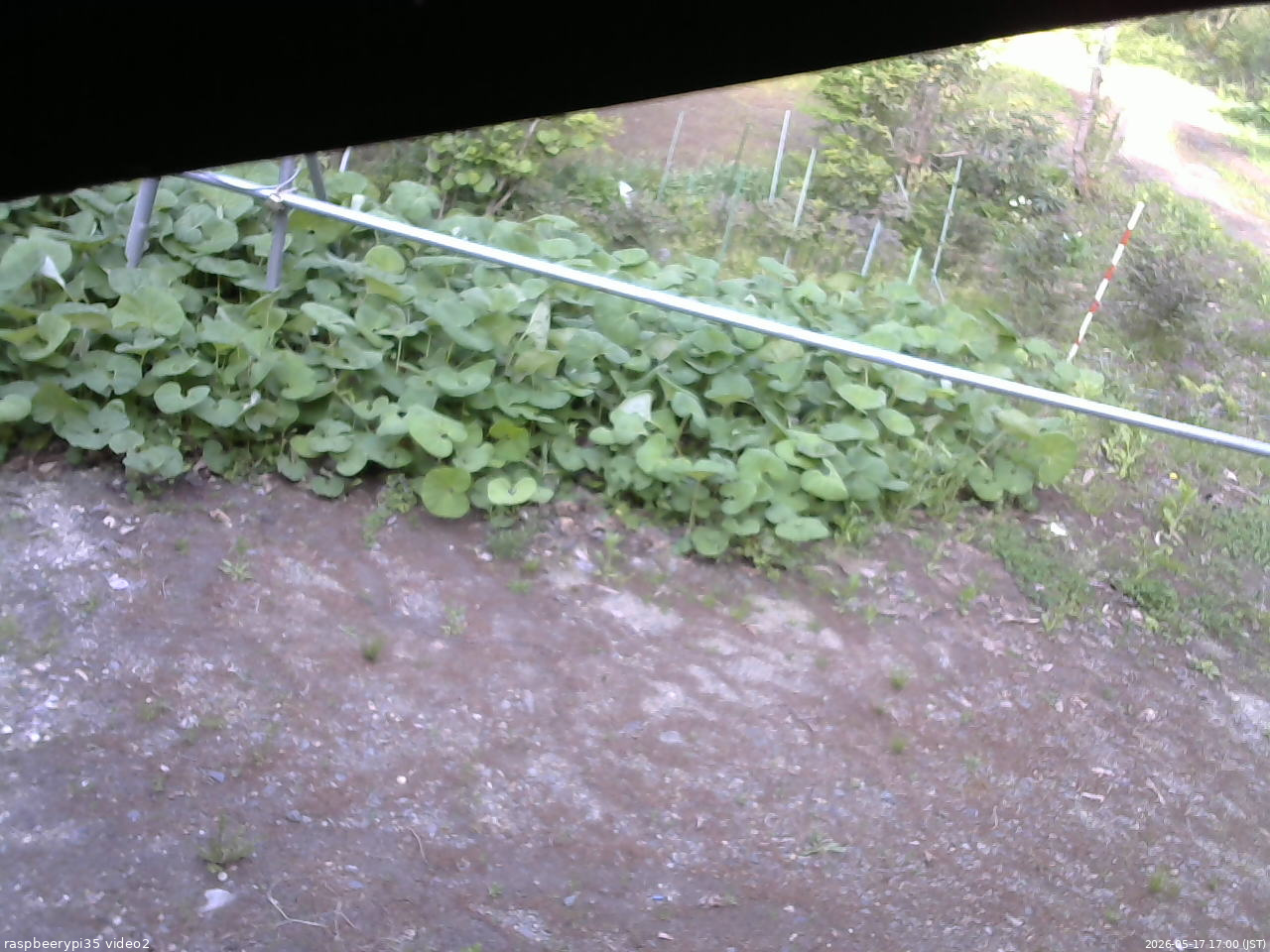 長野県菅平高原 ゆたか山荘 駐車場 2026/05/17 17:00
