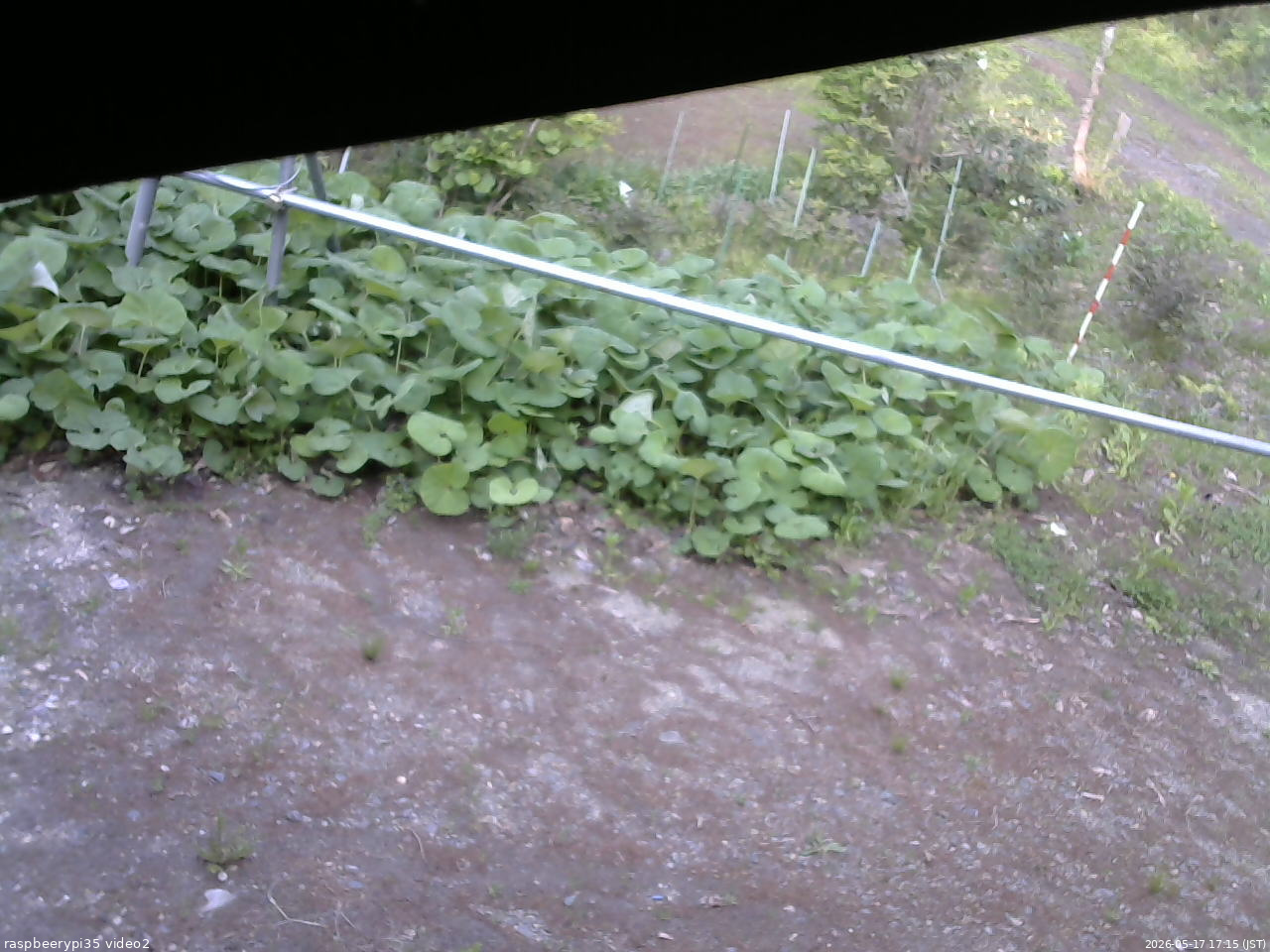 長野県菅平高原 ゆたか山荘 駐車場 2026/05/17 17:15