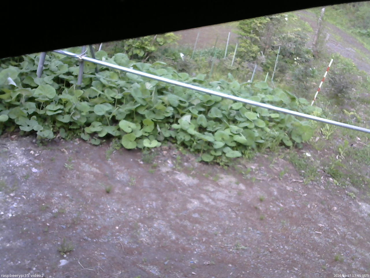 長野県菅平高原 ゆたか山荘 駐車場 2026/05/17 17:45