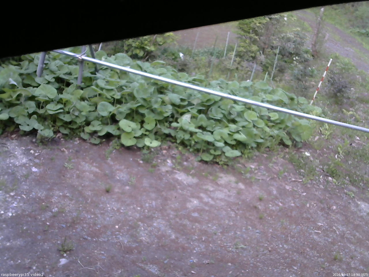 長野県菅平高原 ゆたか山荘 駐車場 2026/05/17 18:30