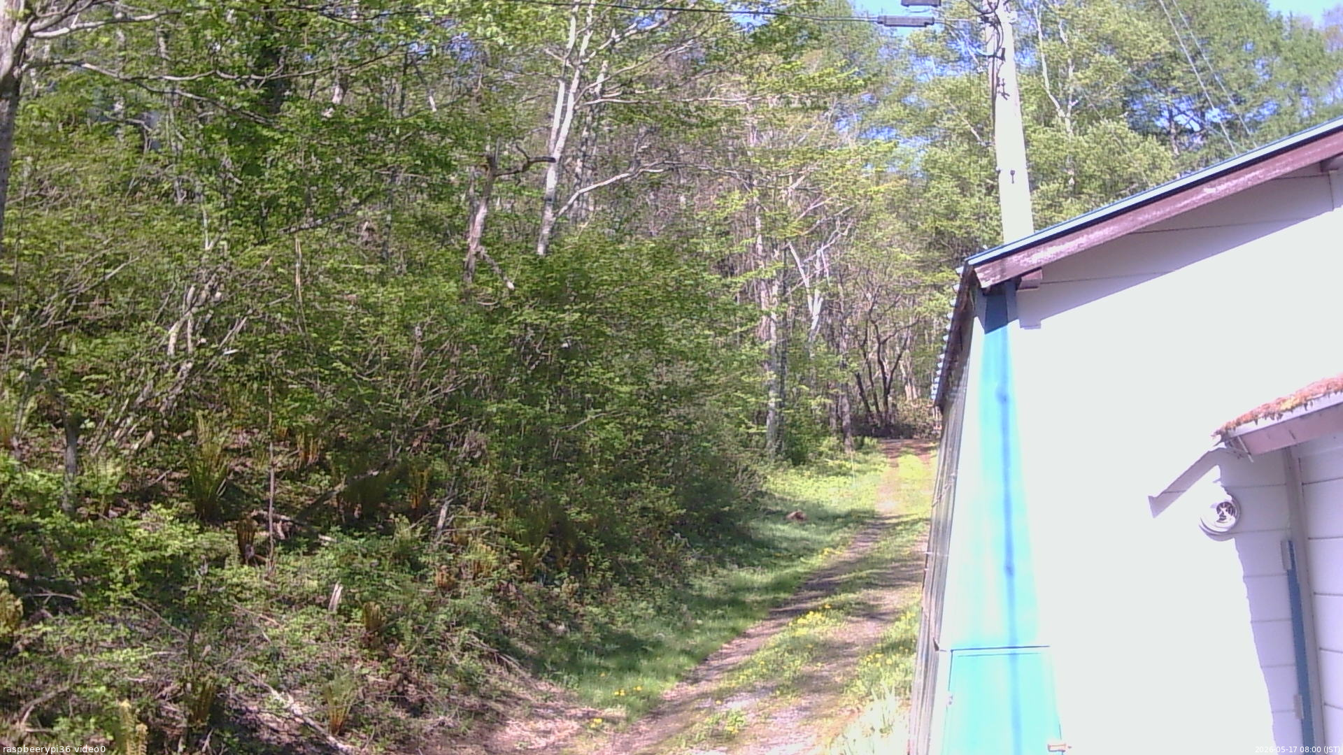 長野県菅平高原 ゆたか山荘 ゆたか山荘 2026/05/17 08:00