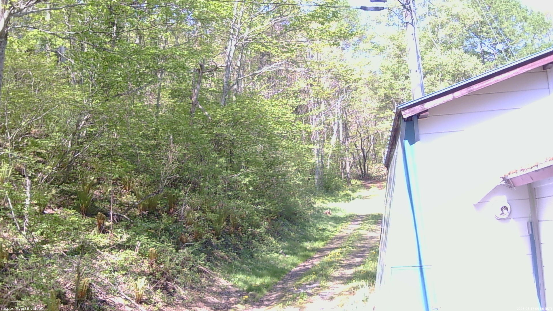 長野県菅平高原 ゆたか山荘 ゆたか山荘 2026/05/17 09:00