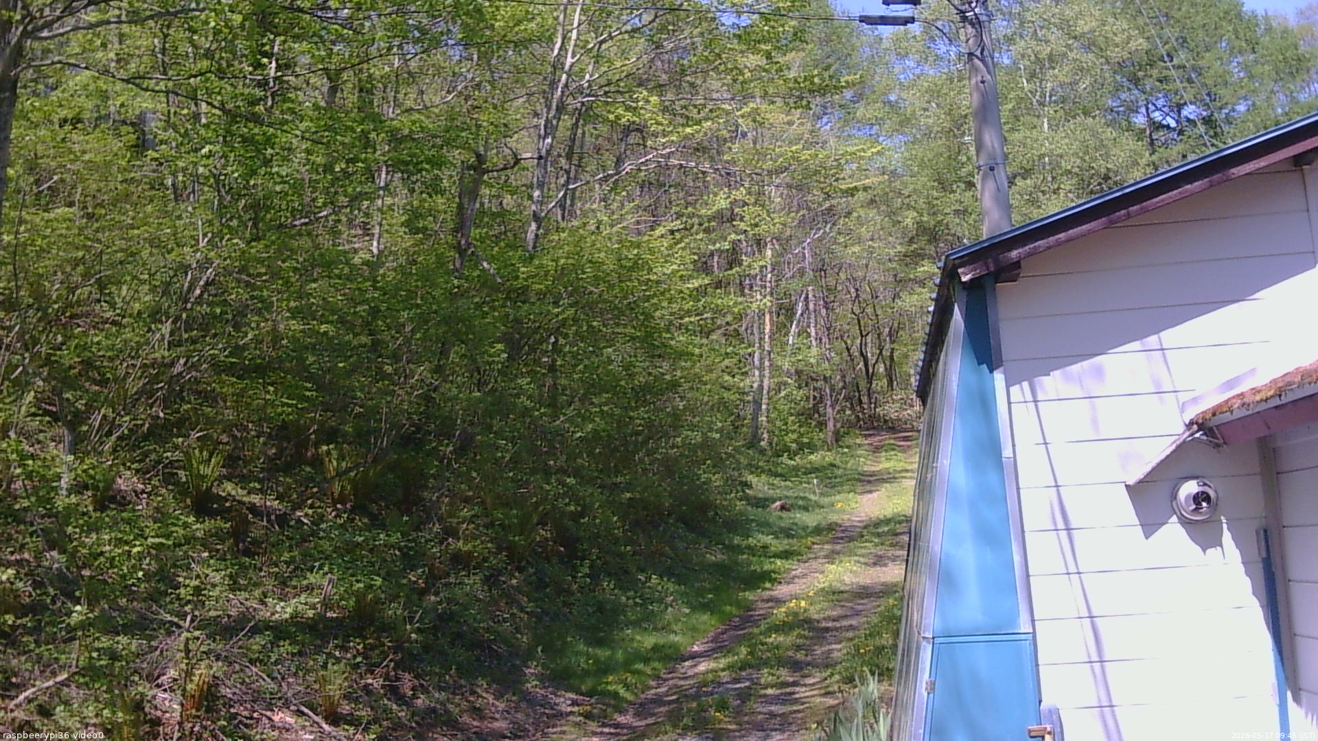 長野県菅平高原 ゆたか山荘 ゆたか山荘 2026/05/17 09:45