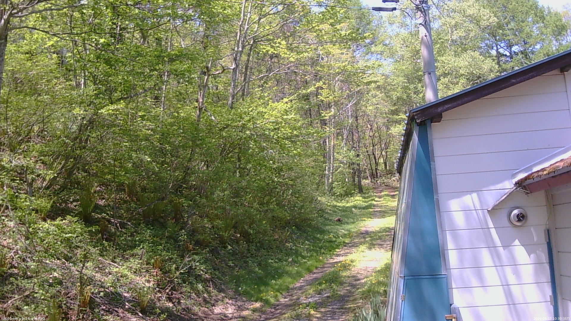 長野県菅平高原 ゆたか山荘 ゆたか山荘 2026/05/17 10:30