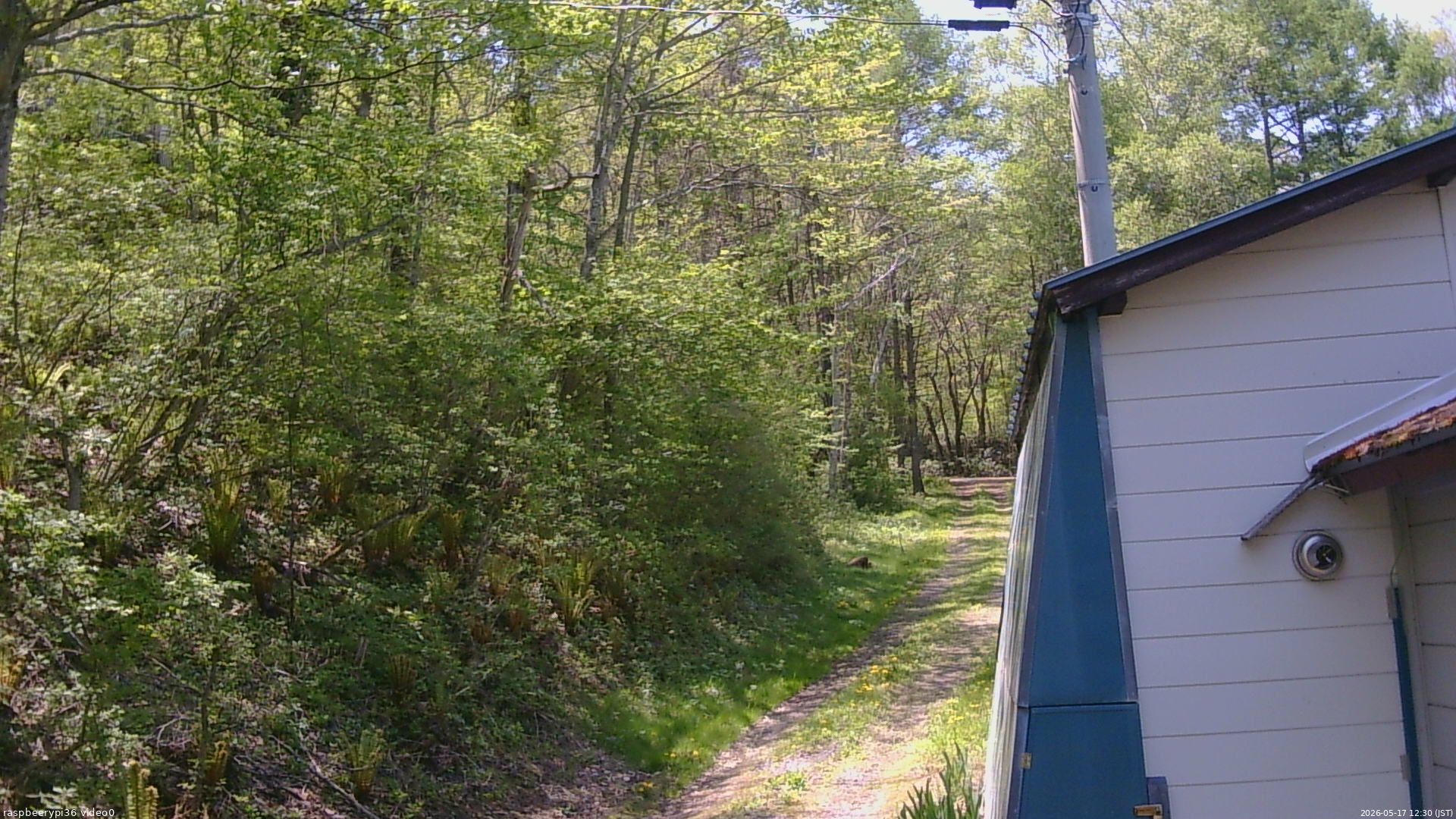 長野県菅平高原 ゆたか山荘 ゆたか山荘 2026/05/17 12:30