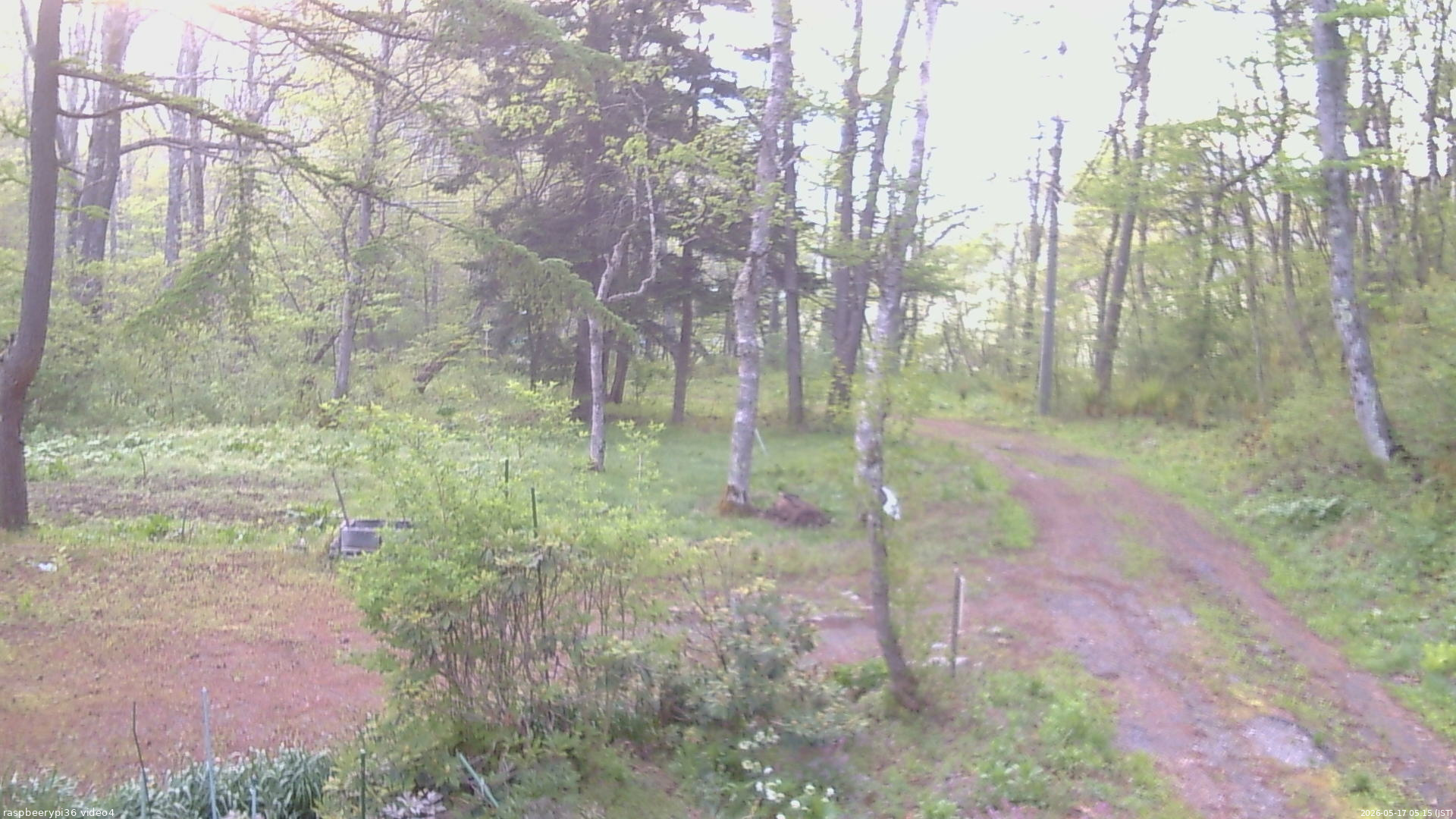 長野県菅平高原 ゆたか山荘 坂上 2026/05/17 05:15