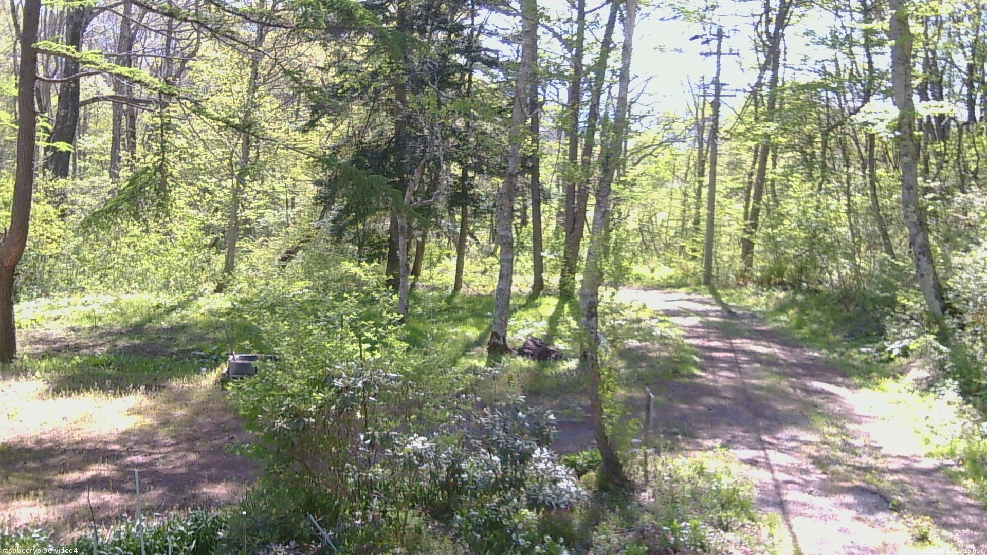 長野県菅平高原 ゆたか山荘 坂上 2026/05/17 08:15