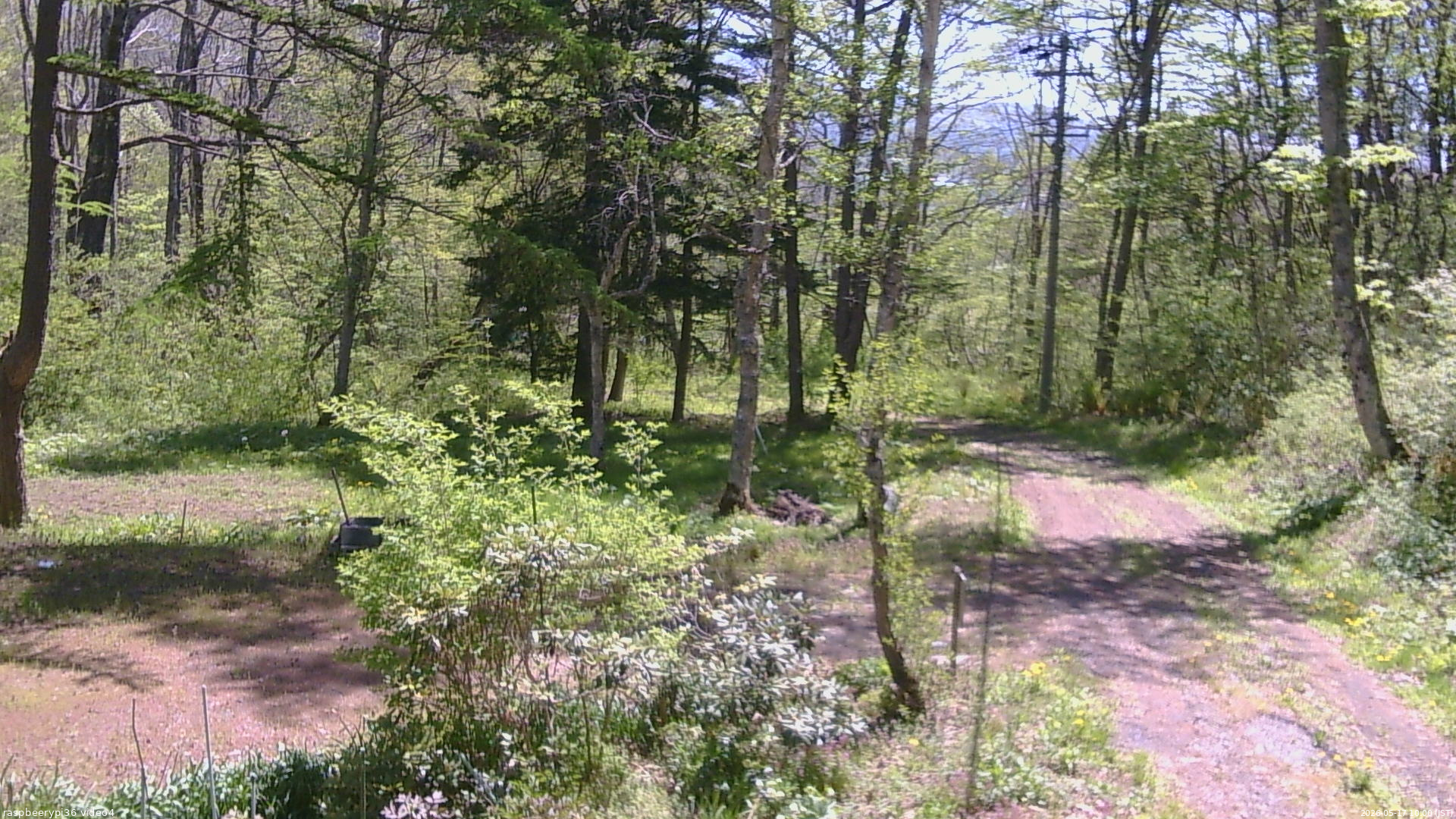 長野県菅平高原 ゆたか山荘 坂上 2026/05/17 10:00