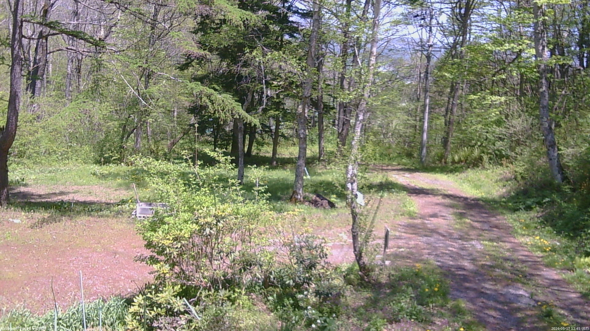 長野県菅平高原 ゆたか山荘 坂上 2026/05/17 12:45