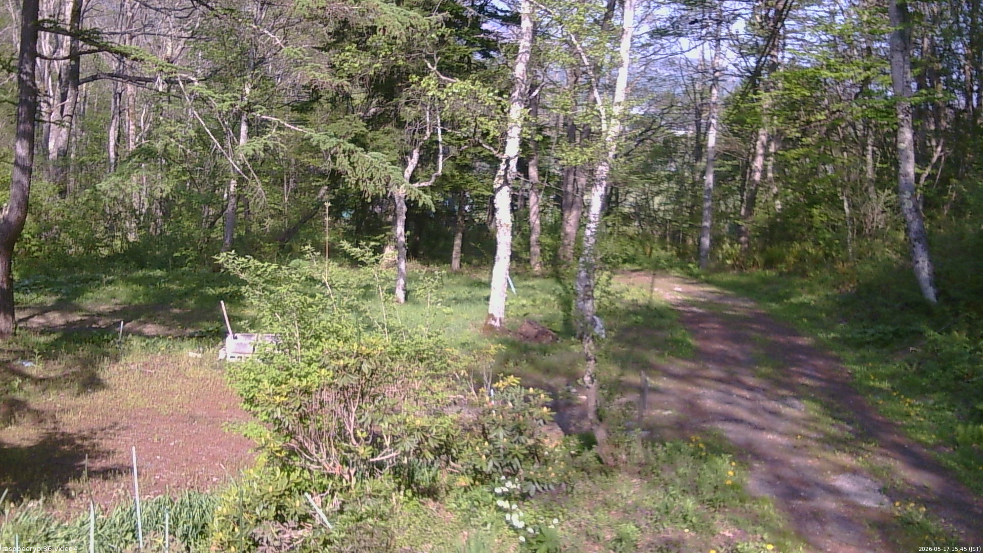 長野県菅平高原 ゆたか山荘 坂上 2026/05/17 15:45