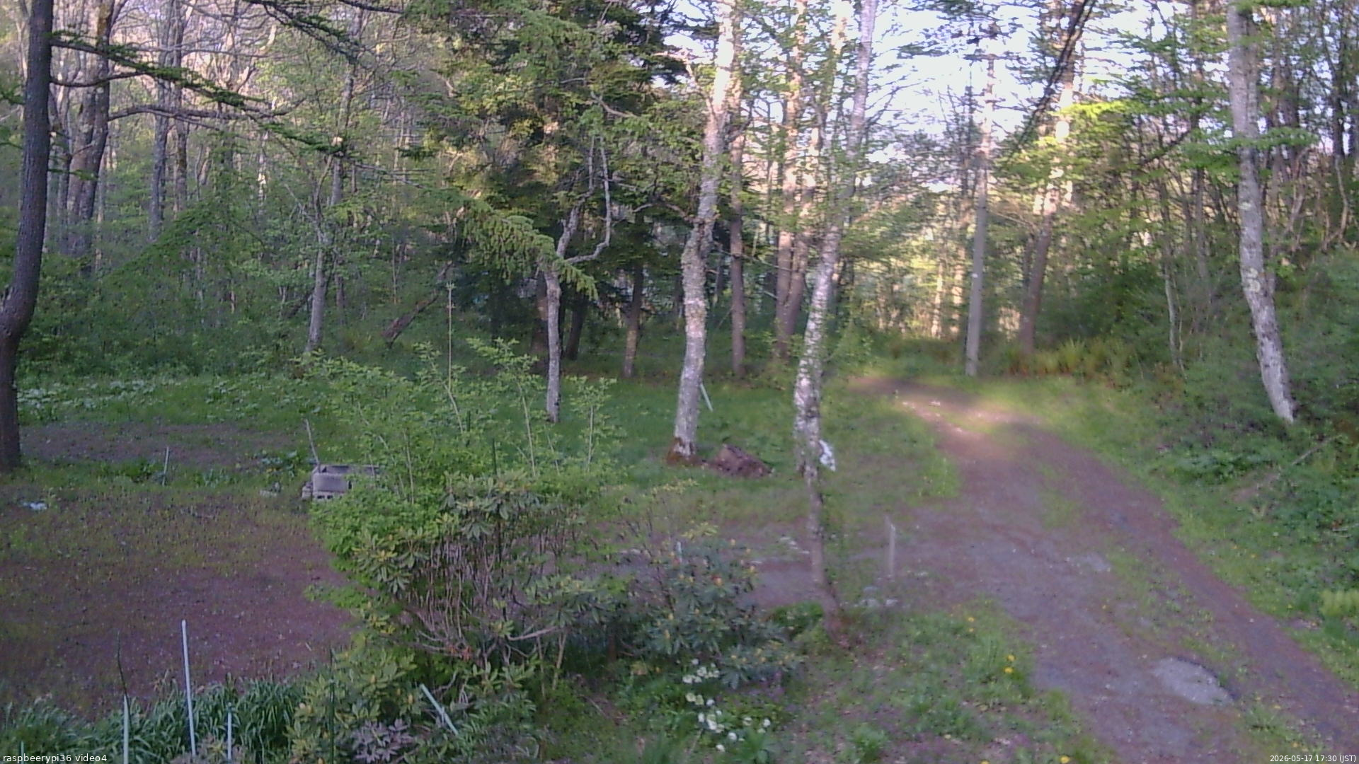 長野県菅平高原 ゆたか山荘 坂上 2026/05/17 17:30