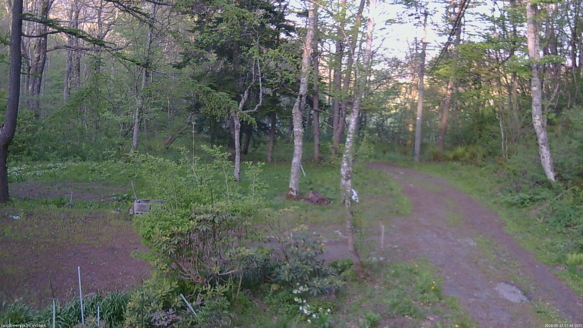長野県菅平高原 ゆたか山荘 坂上 2026/05/17 17:45