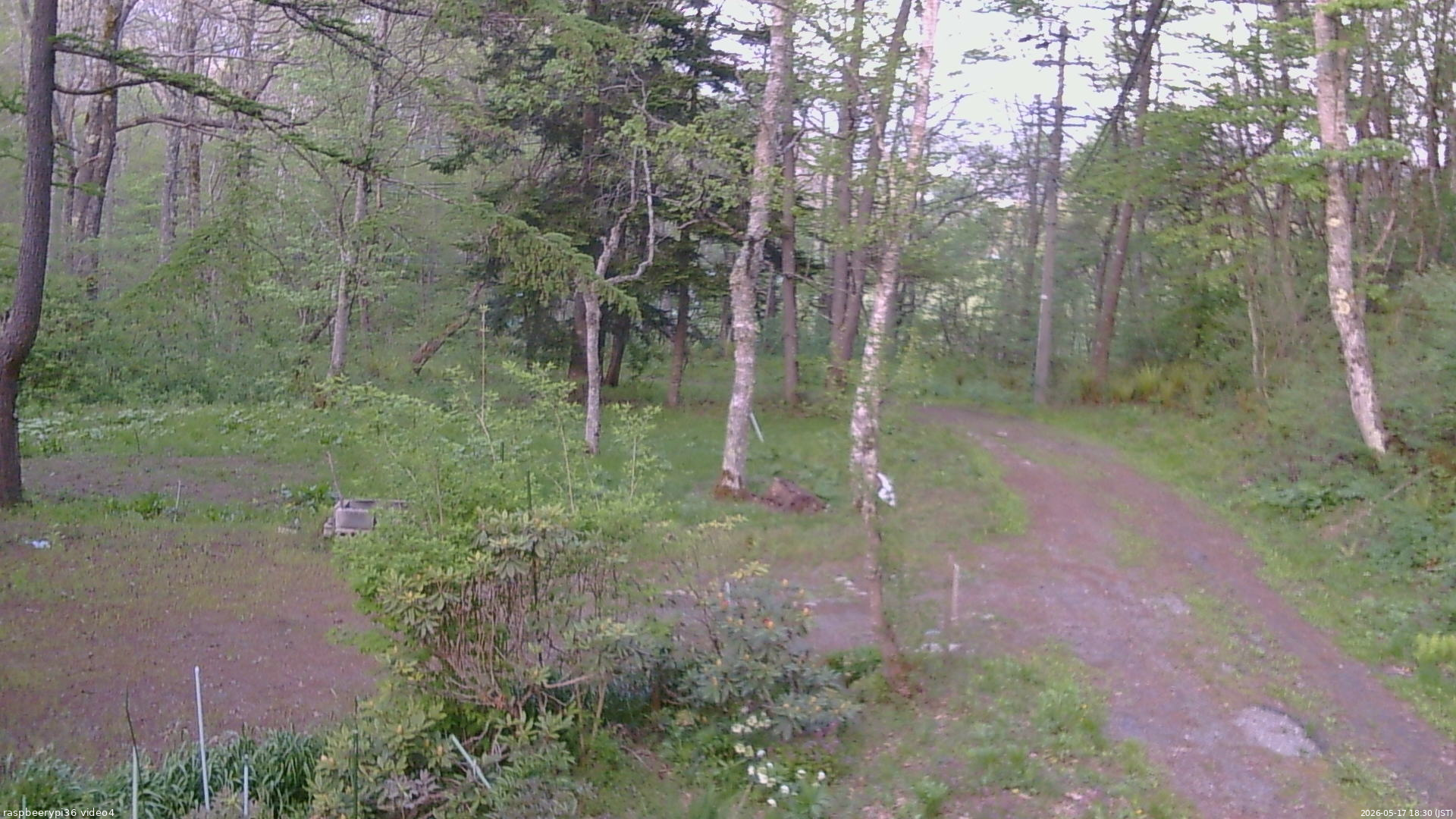 長野県菅平高原 ゆたか山荘 坂上 2026/05/17 18:30