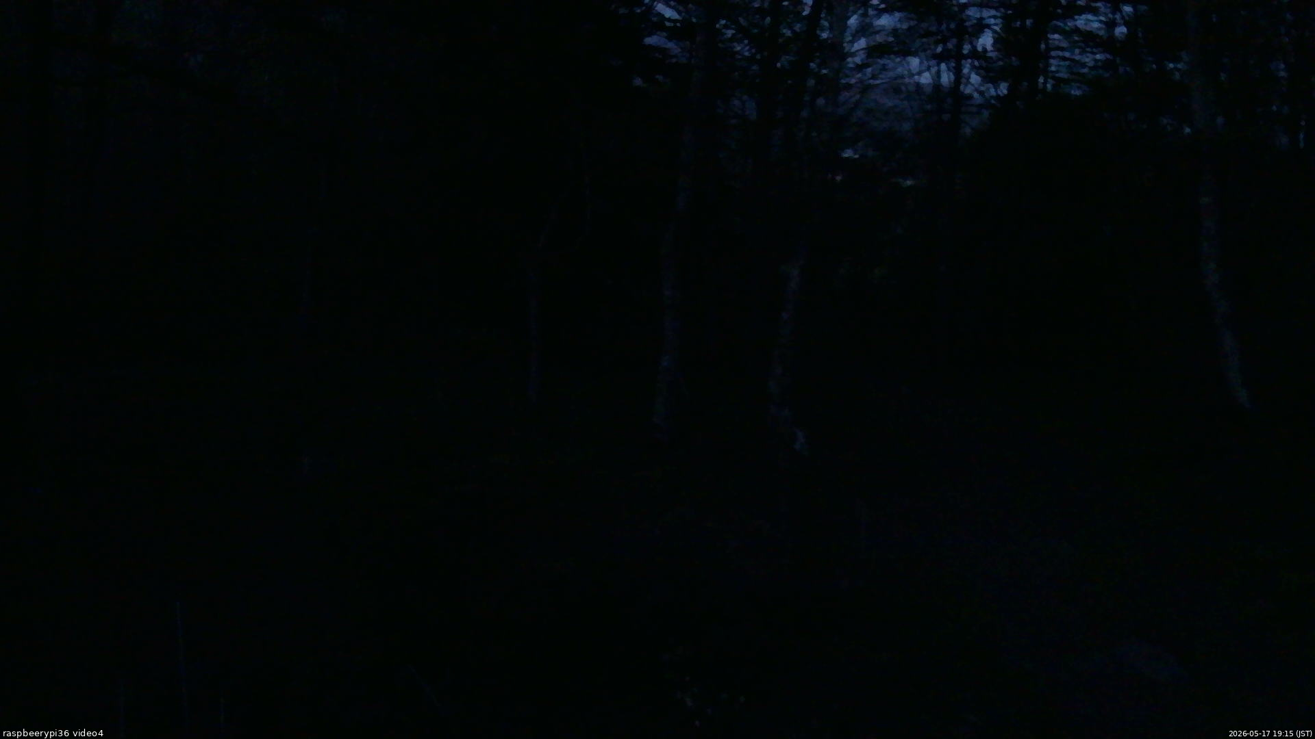 長野県菅平高原 ゆたか山荘 坂上 2026/05/17 19:15