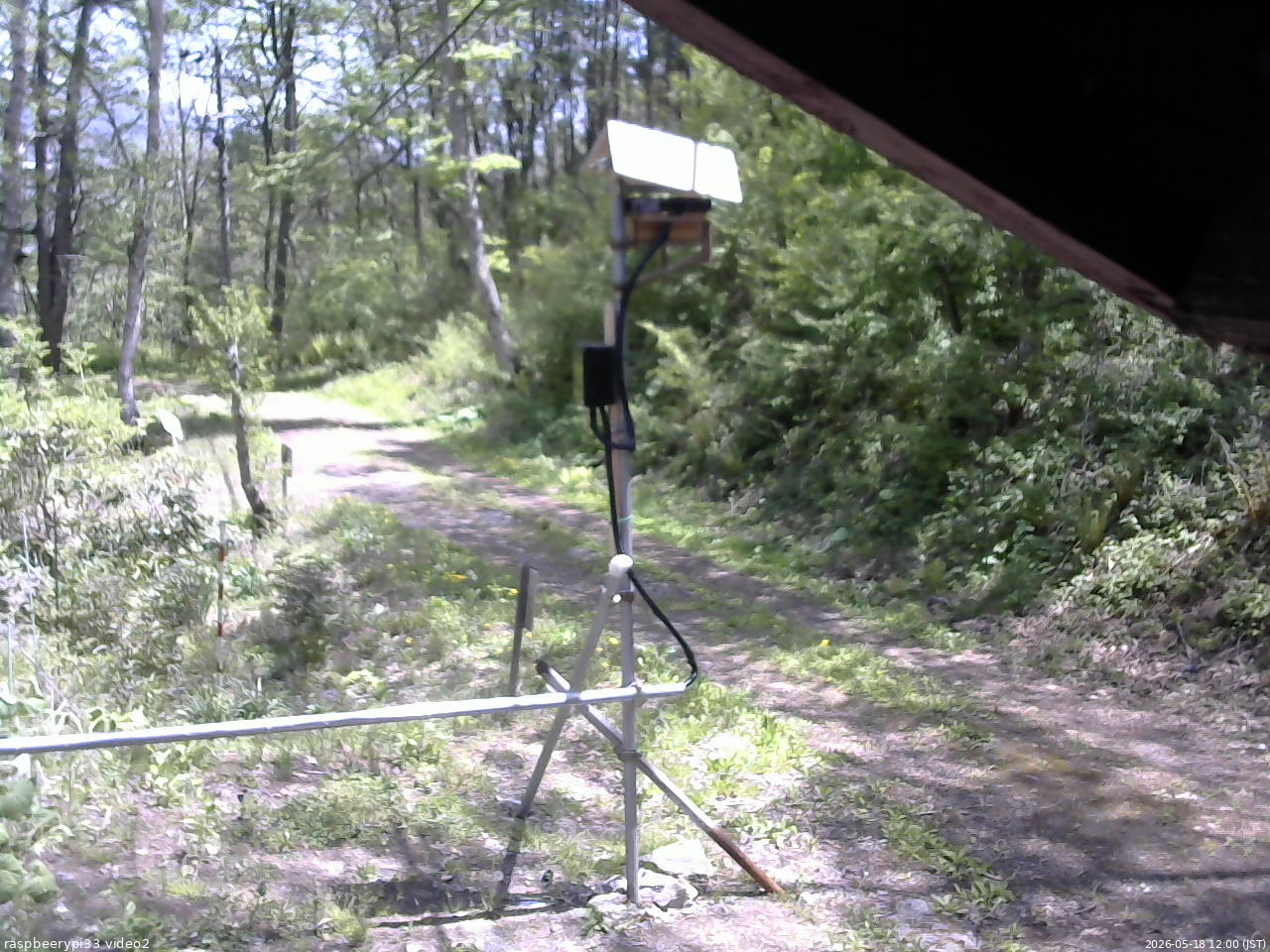 長野県菅平高原 ゆたか山荘 南側 2026/05/18 12:00