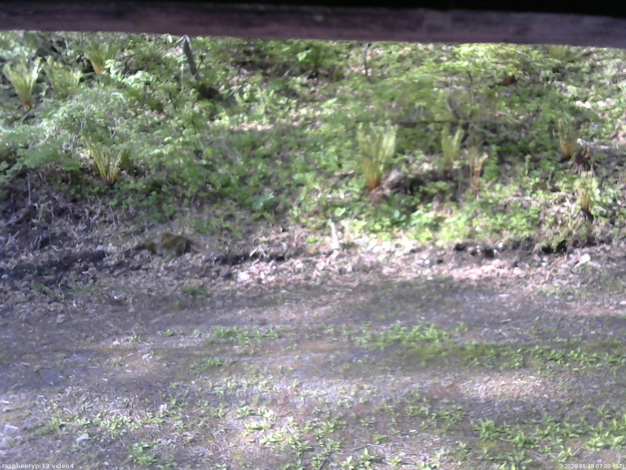 長野県菅平高原 ゆたか山荘 東側(坂下) 2026/05/18 07:00