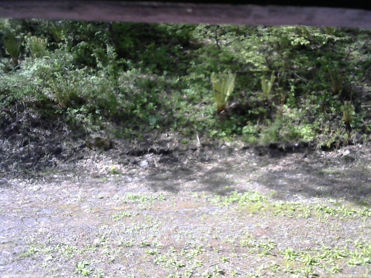 長野県菅平高原 ゆたか山荘 東側(坂下) 2026/05/18 08:15