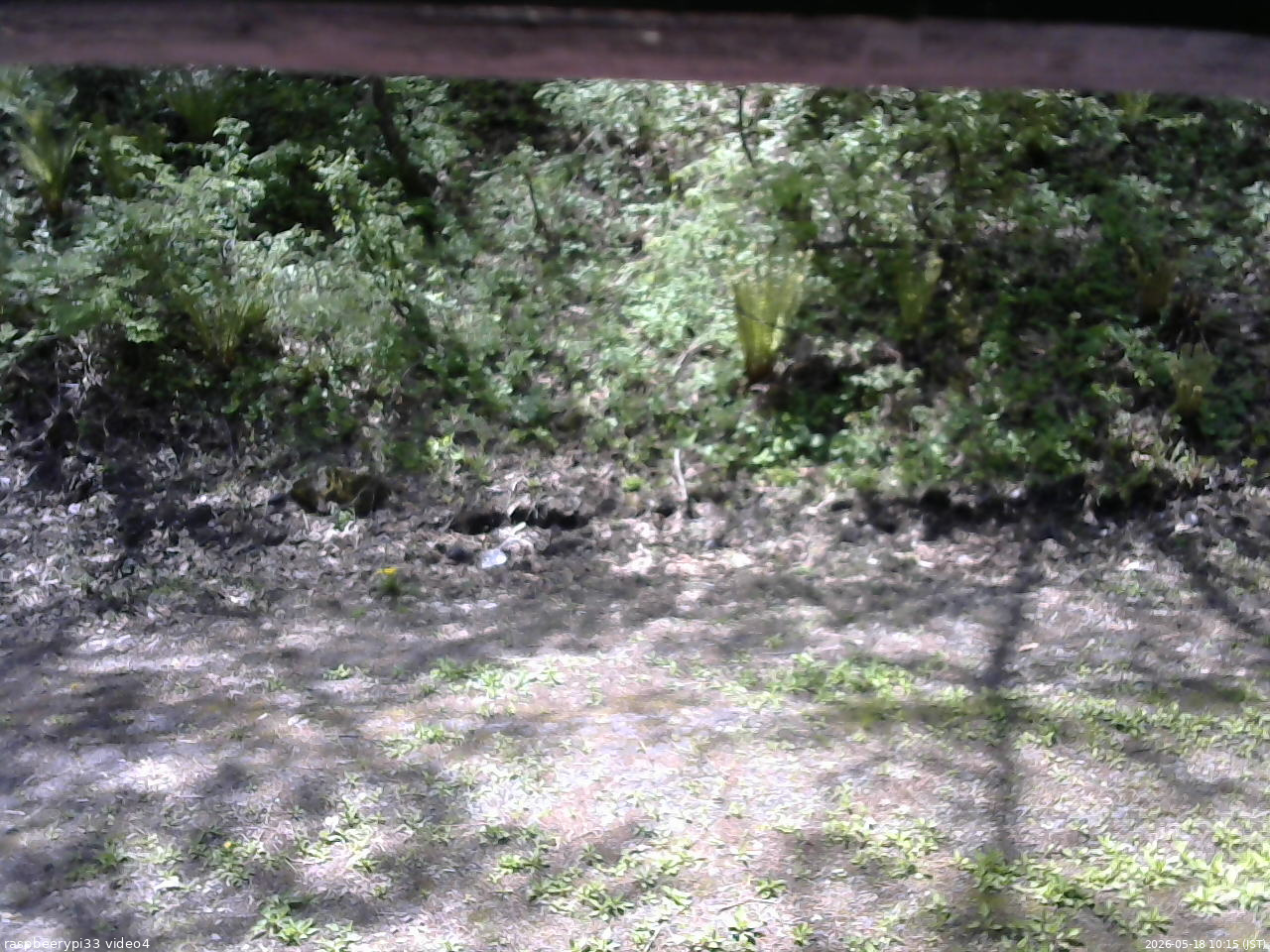 長野県菅平高原 ゆたか山荘 東側(坂下) 2026/05/18 10:15