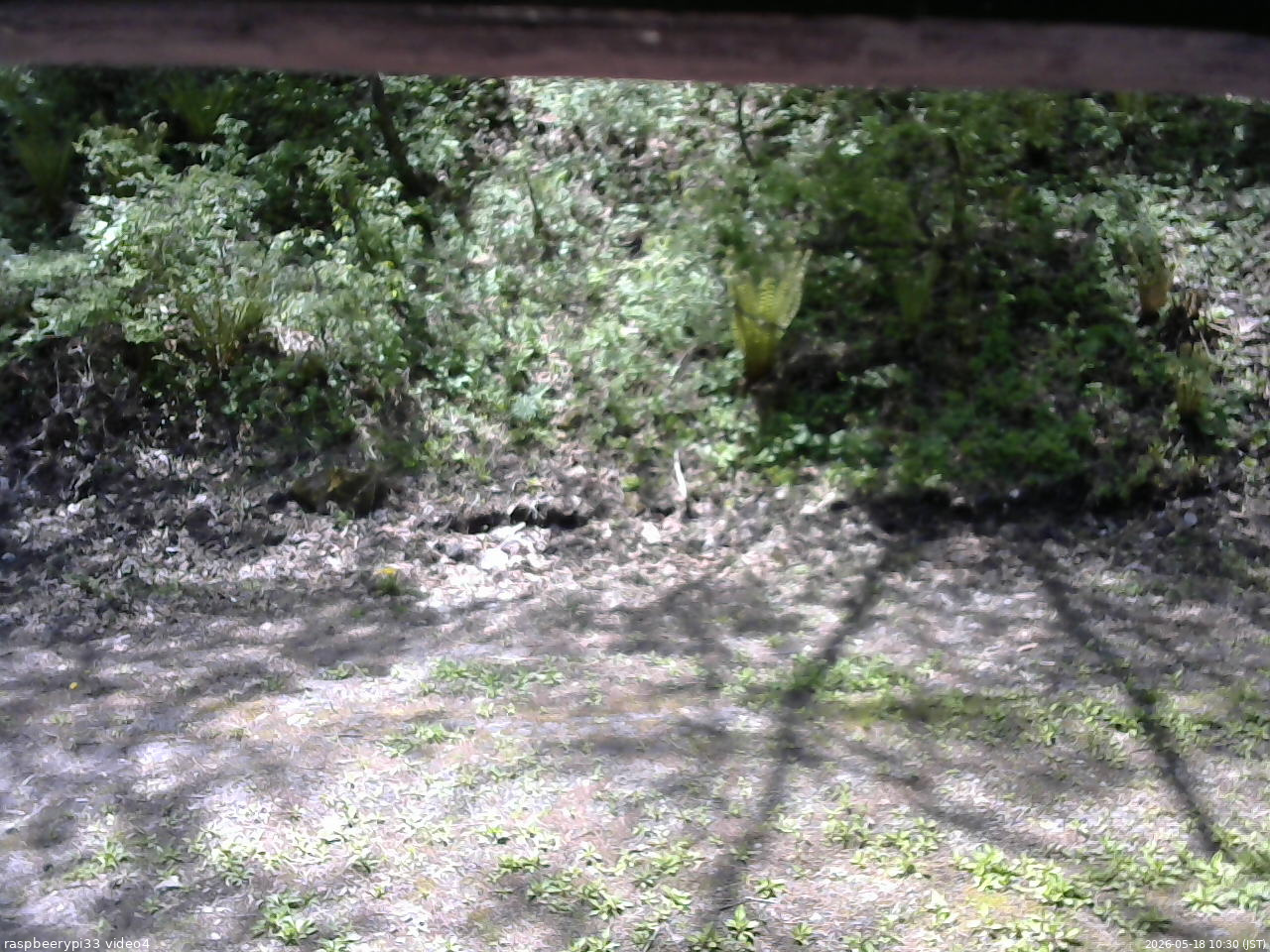長野県菅平高原 ゆたか山荘 東側(坂下) 2026/05/18 10:30