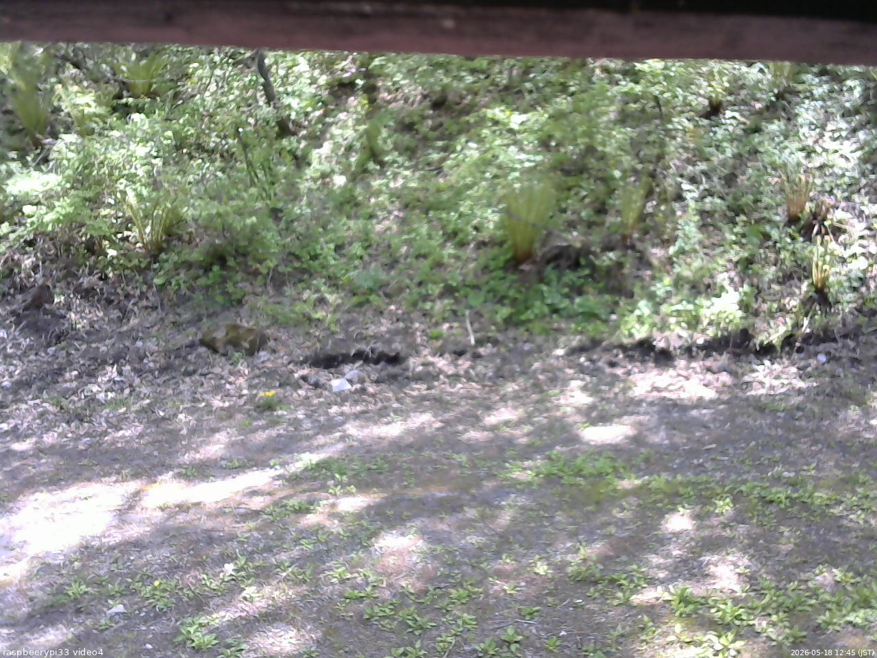 長野県菅平高原 ゆたか山荘 東側(坂下) 2026/05/18 12:45