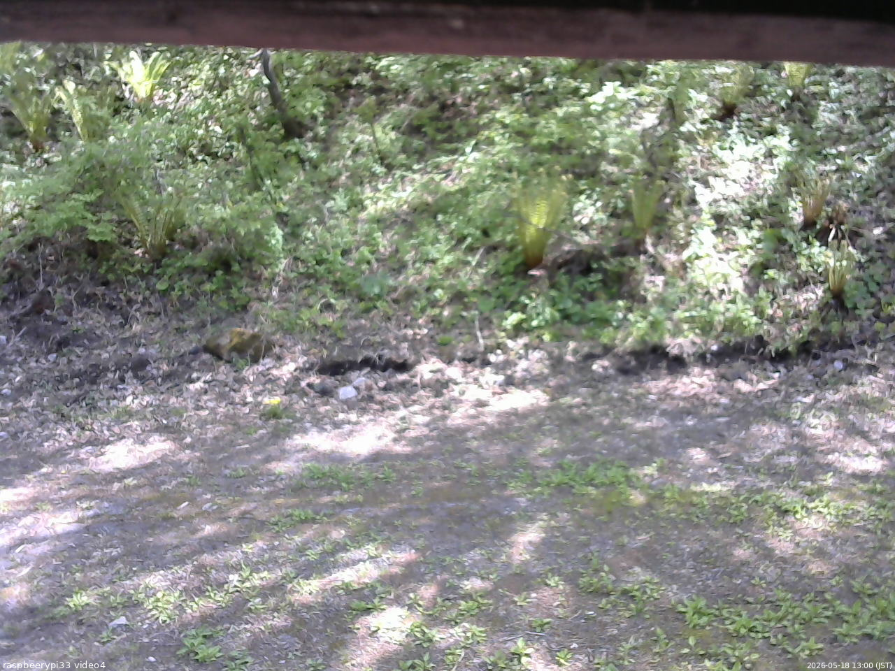 長野県菅平高原 ゆたか山荘 東側(坂下) 2026/05/18 13:00