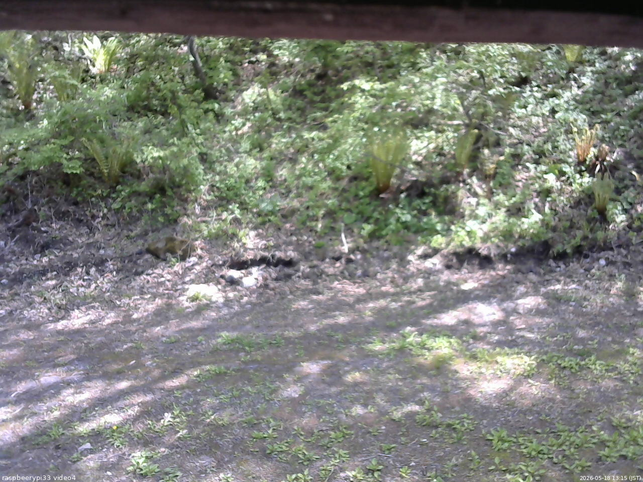 長野県菅平高原 ゆたか山荘 東側(坂下) 2026/05/18 13:15