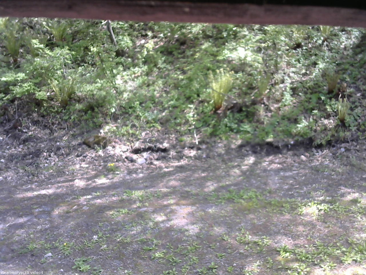 長野県菅平高原 ゆたか山荘 東側(坂下) 2026/05/18 13:45