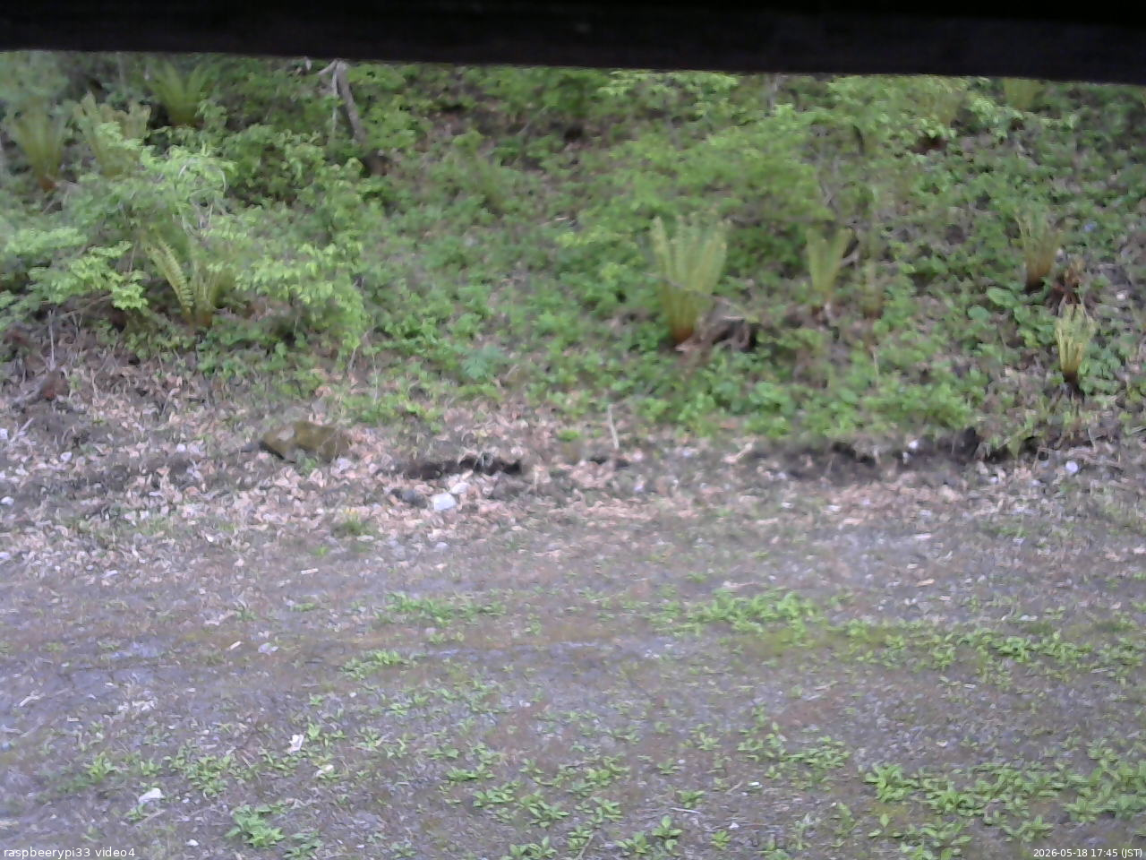 長野県菅平高原 ゆたか山荘 東側(坂下) 2026/05/18 17:45