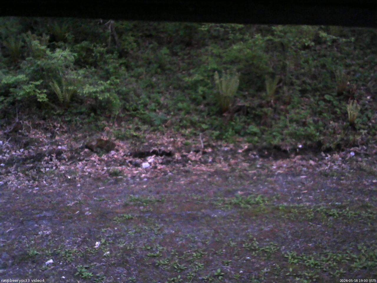 長野県菅平高原 ゆたか山荘 東側(坂下) 2026/05/18 19:00