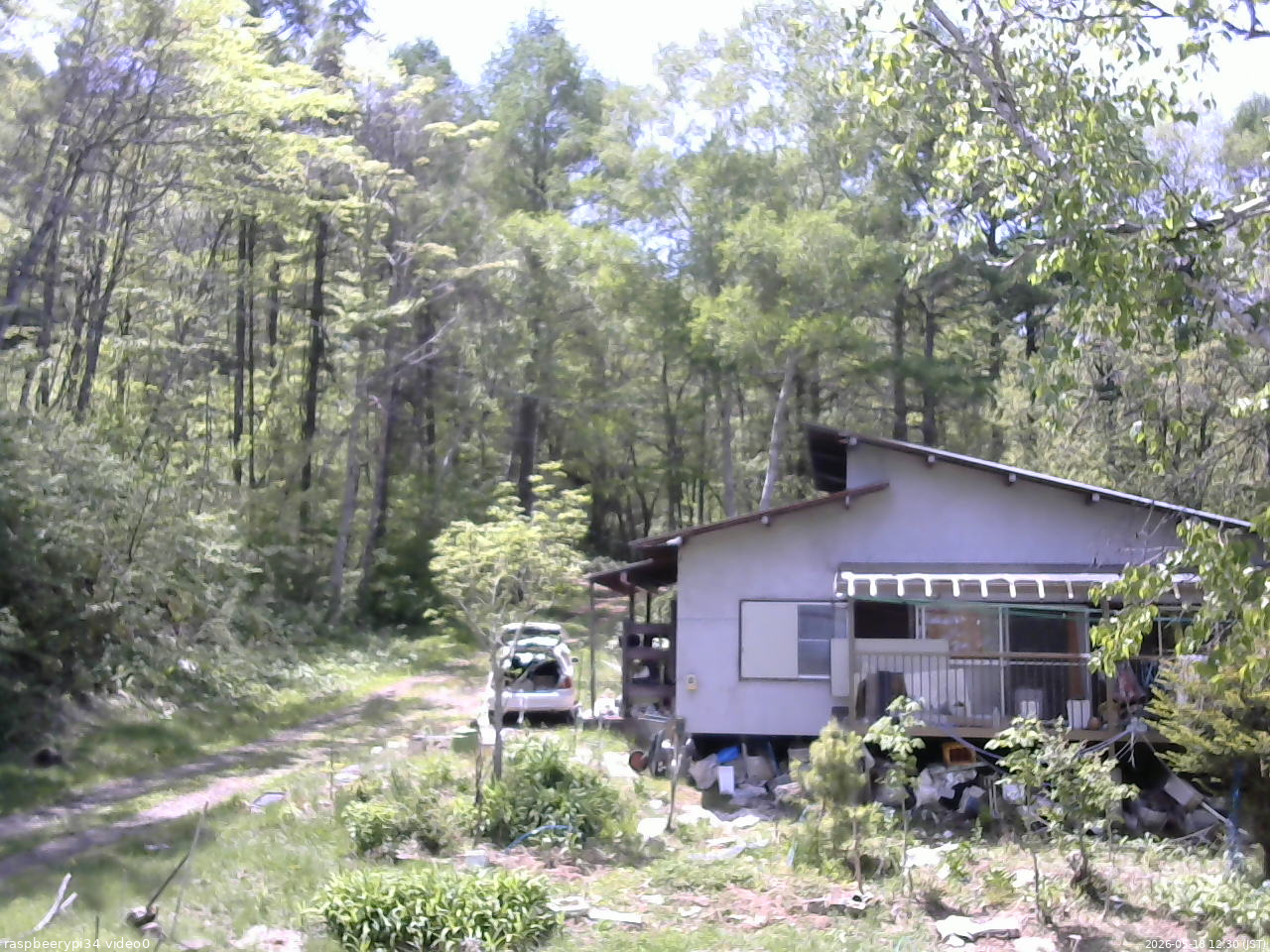 長野県菅平高原 ゆたか山荘 西側(坂上) 2026/05/18 12:30