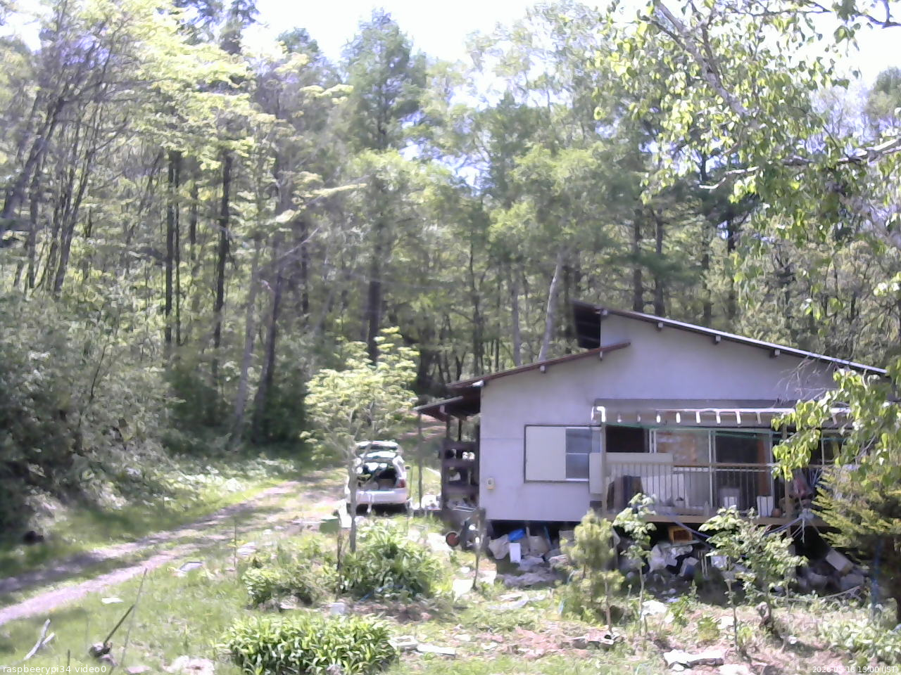 長野県菅平高原 ゆたか山荘 西側(坂上) 2026/05/18 13:00