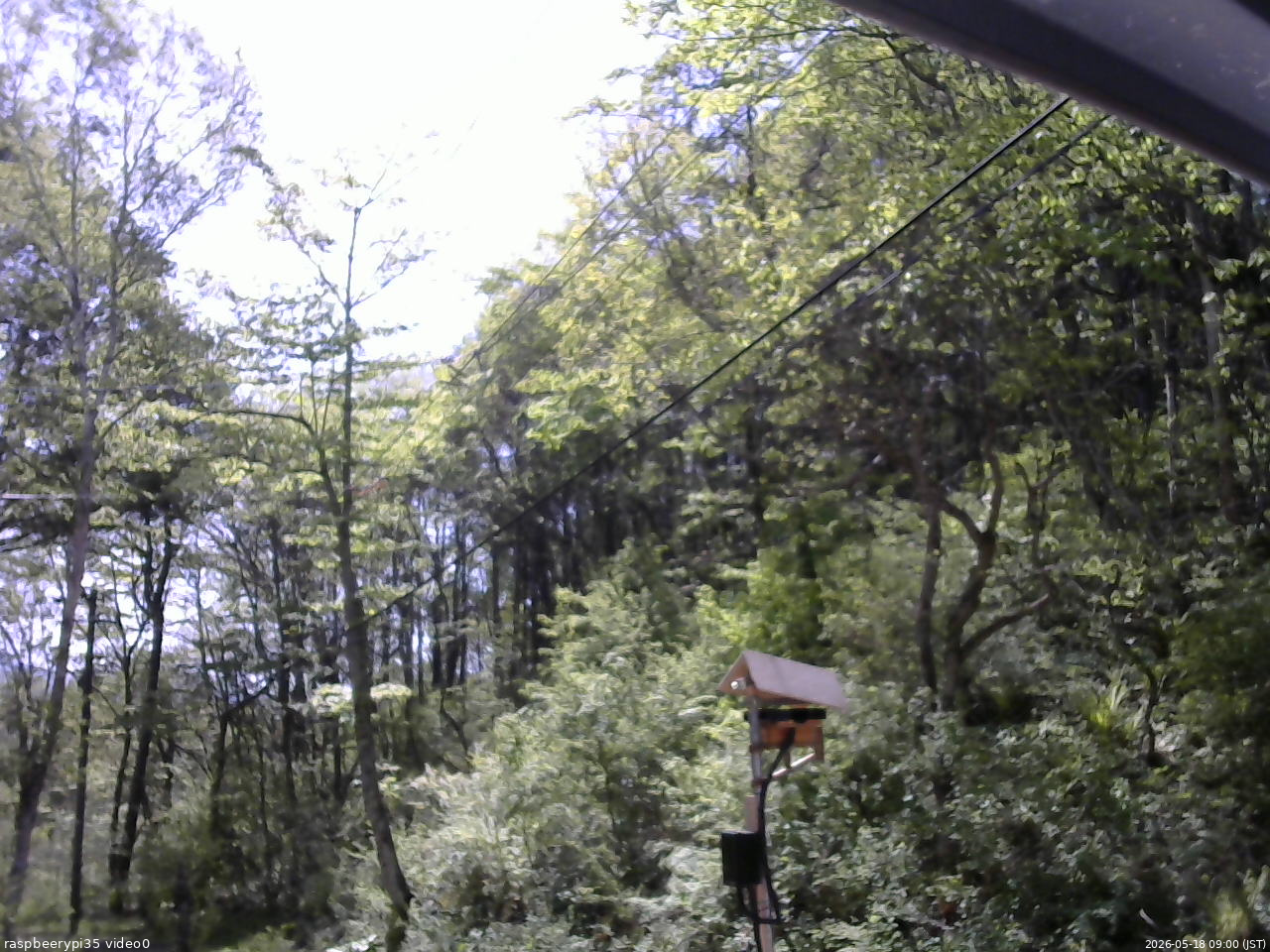 長野県菅平高原 ゆたか山荘 温度計 2026/05/18 09:00