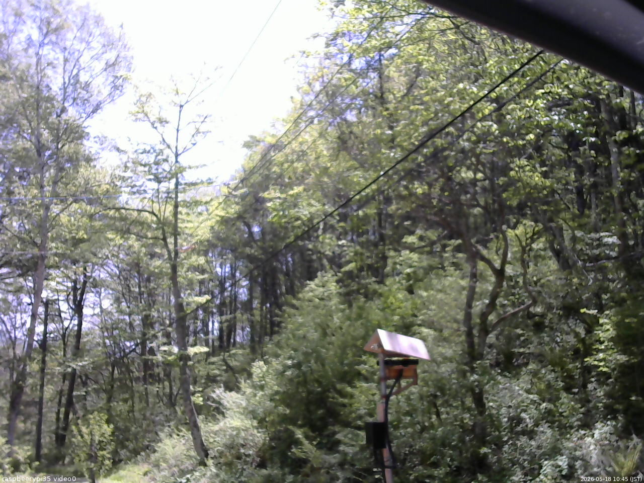長野県菅平高原 ゆたか山荘 温度計 2026/05/18 10:45