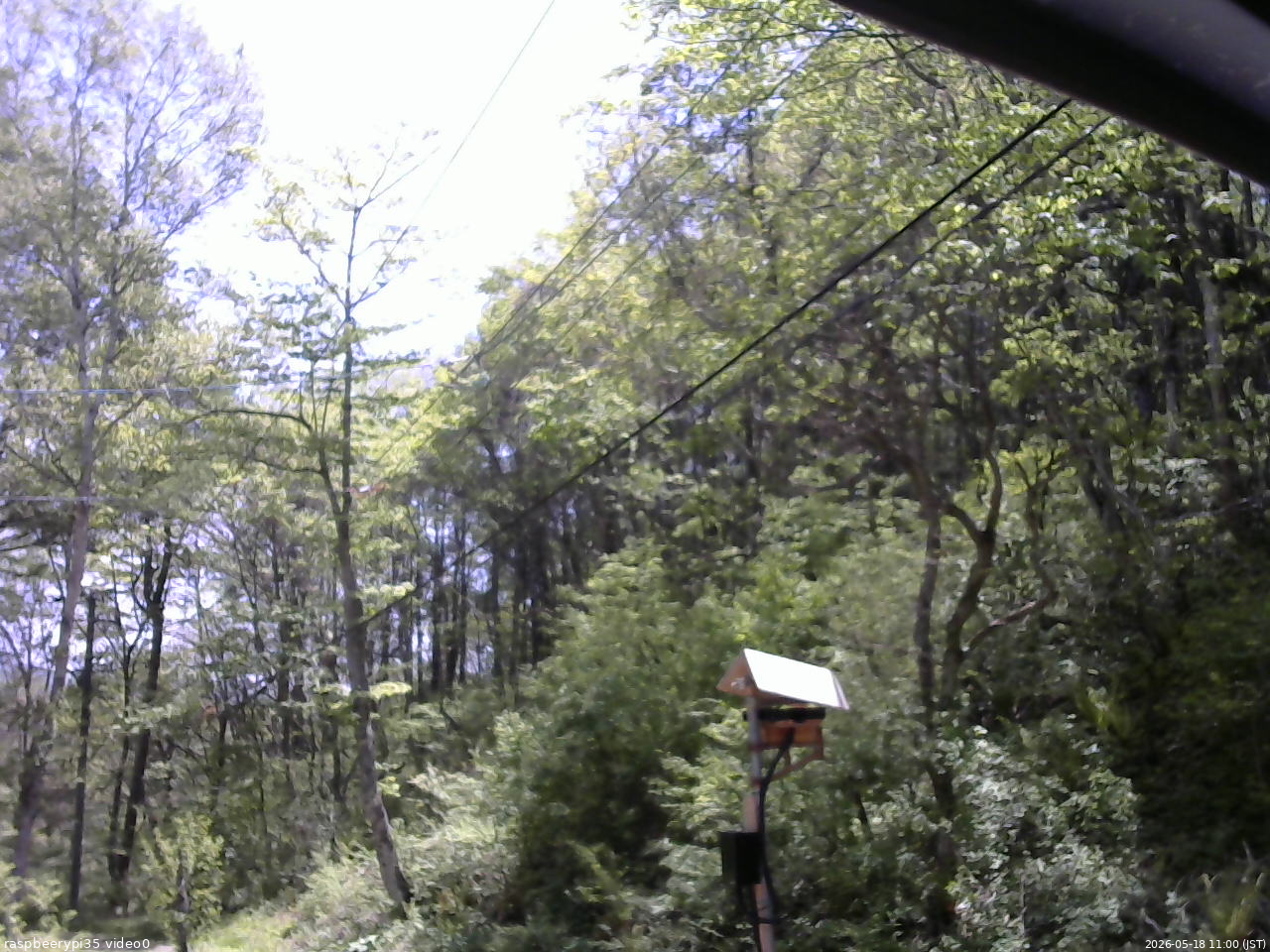 長野県菅平高原 ゆたか山荘 温度計 2026/05/18 11:00