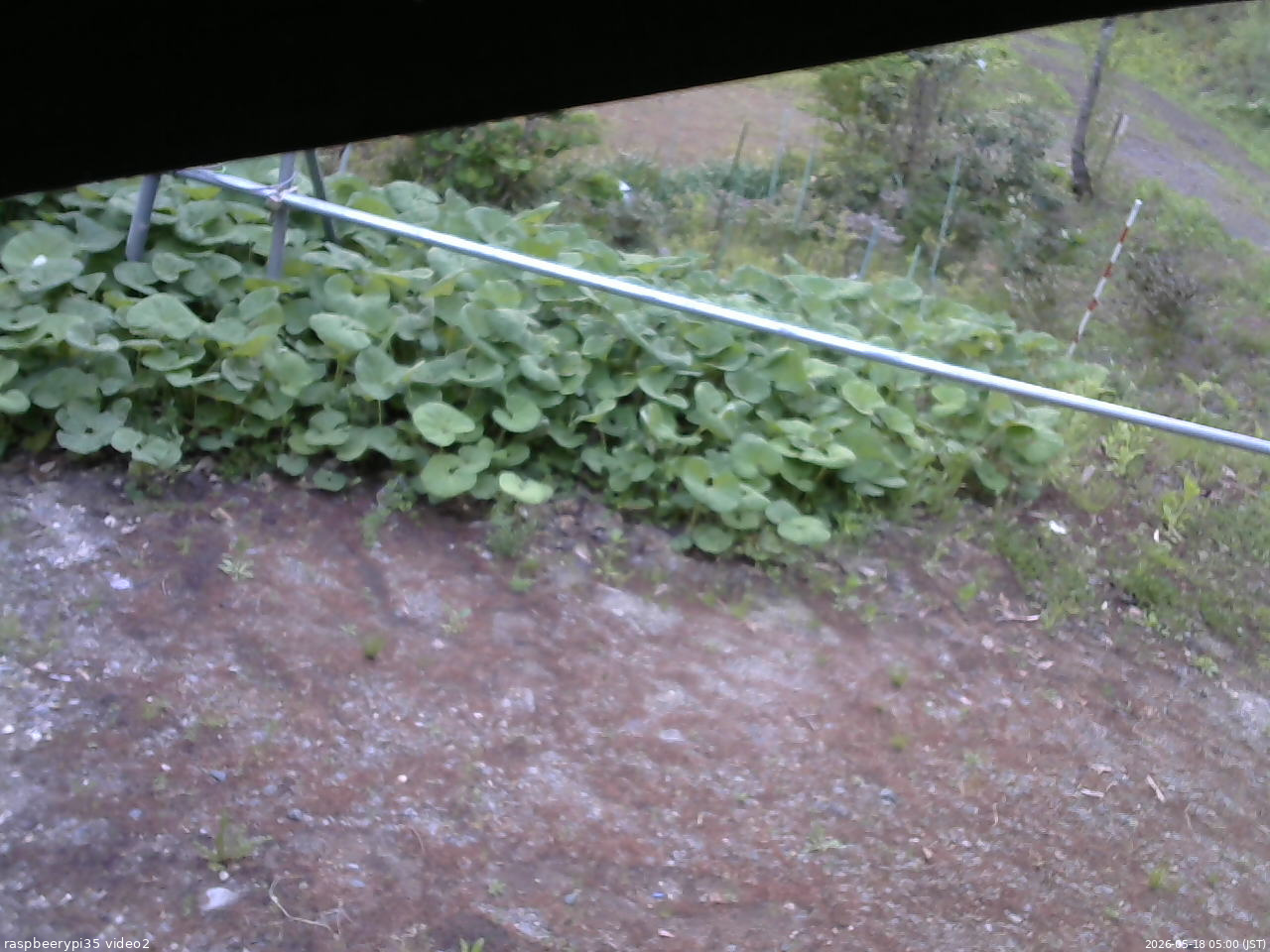長野県菅平高原 ゆたか山荘 駐車場 2026/05/18 05:00