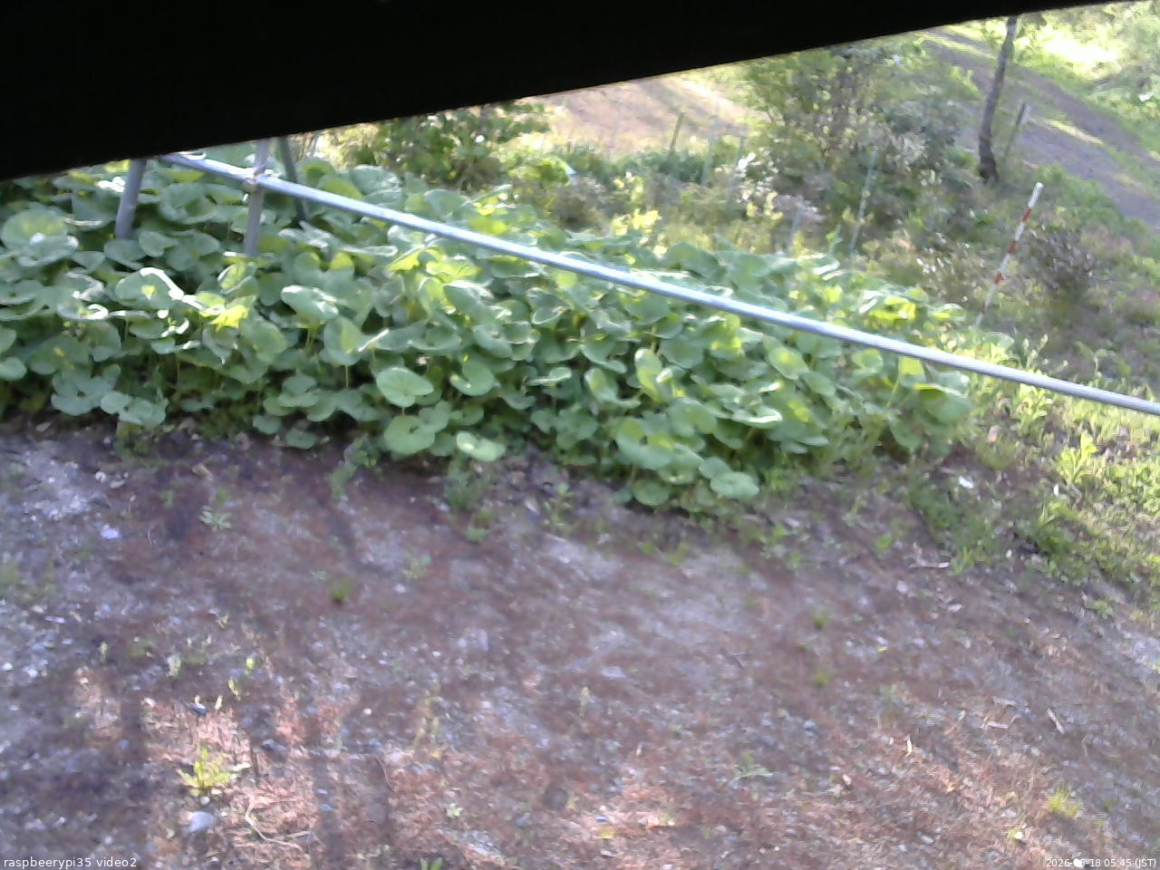 長野県菅平高原 ゆたか山荘 駐車場 2026/05/18 05:45