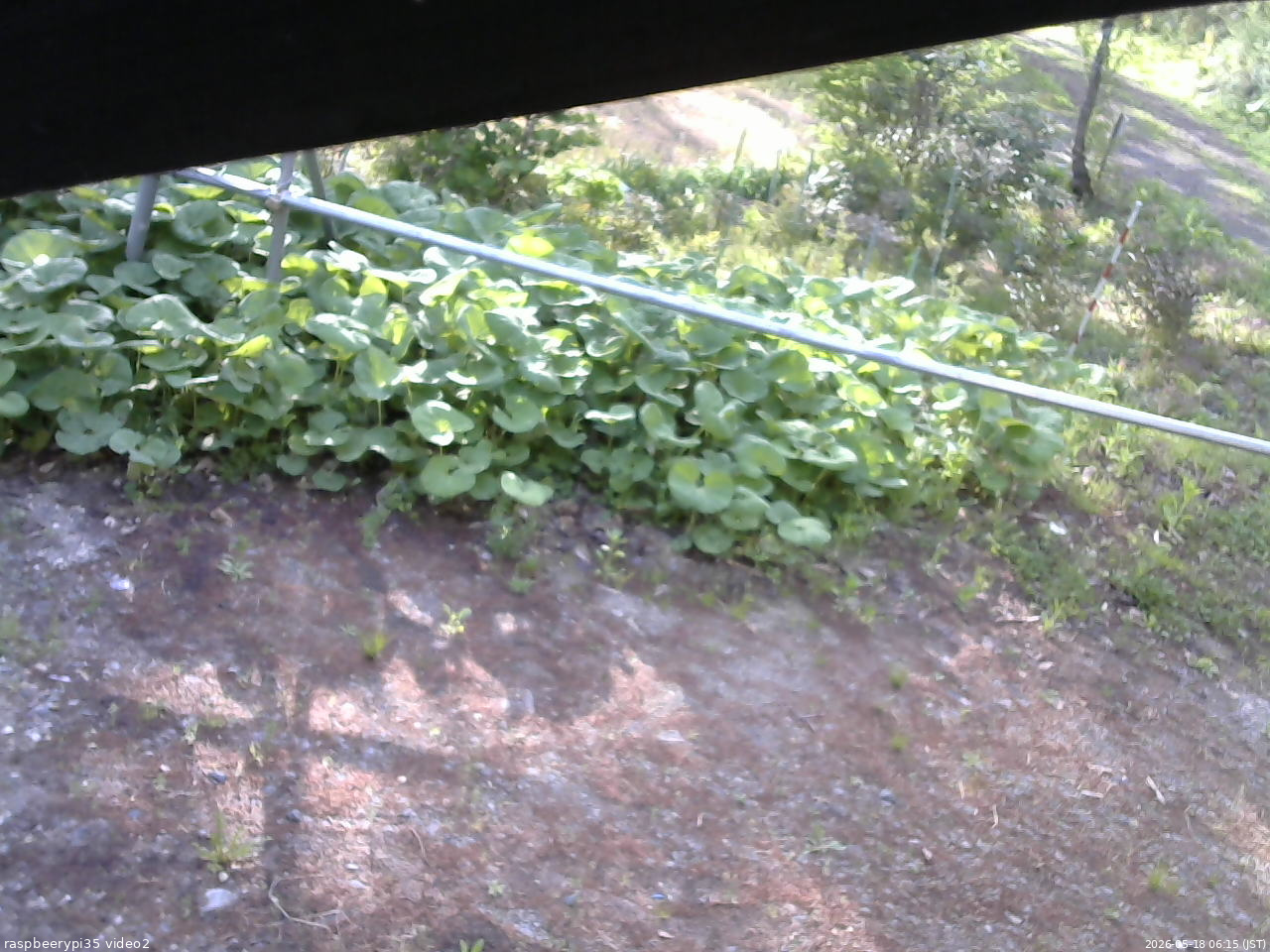 長野県菅平高原 ゆたか山荘 駐車場 2026/05/18 06:15