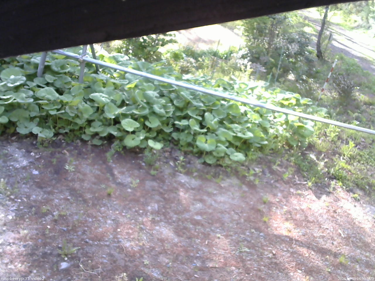 長野県菅平高原 ゆたか山荘 駐車場 2026/05/18 06:30