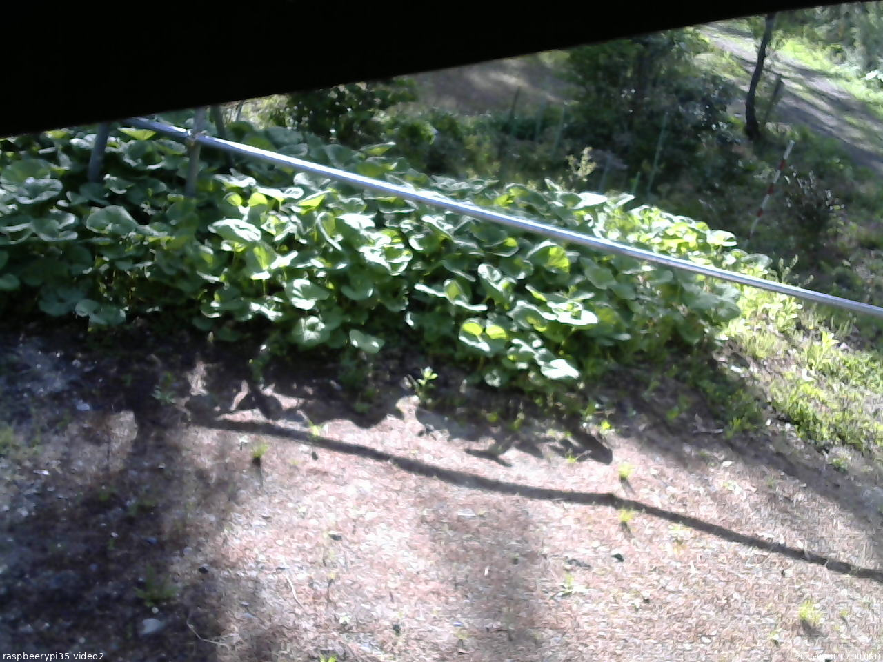 長野県菅平高原 ゆたか山荘 駐車場 2026/05/18 07:00