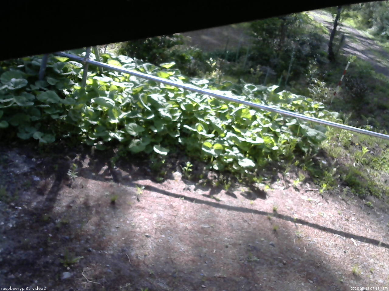 長野県菅平高原 ゆたか山荘 駐車場 2026/05/18 07:15