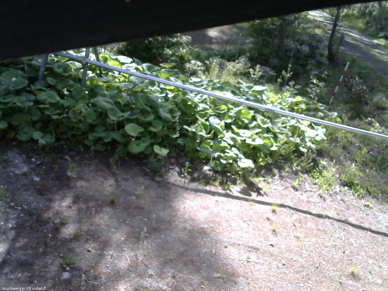 長野県菅平高原 ゆたか山荘 駐車場 2026/05/18 07:45