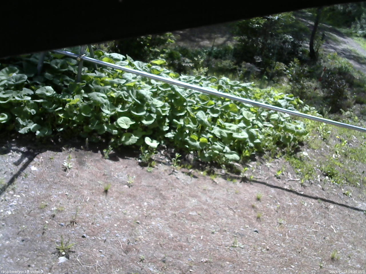 長野県菅平高原 ゆたか山荘 駐車場 2026/05/18 08:30