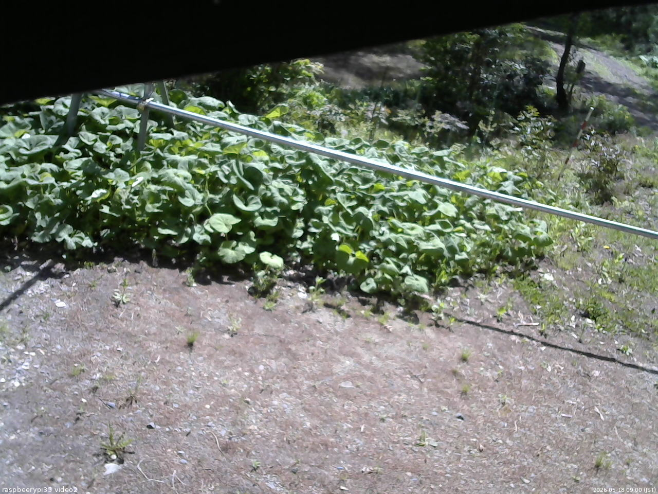 長野県菅平高原 ゆたか山荘 駐車場 2026/05/18 09:00