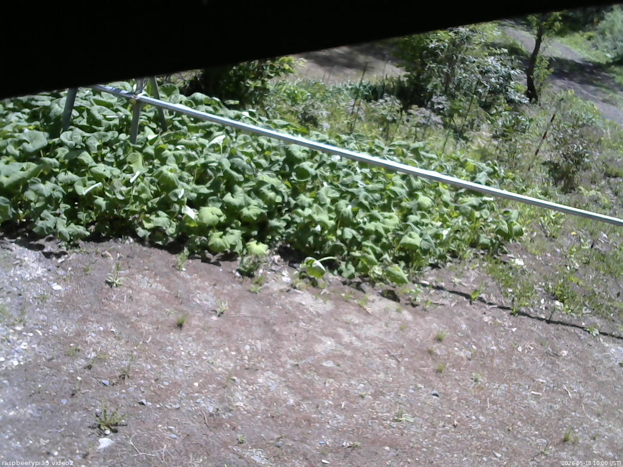 長野県菅平高原 ゆたか山荘 駐車場 2026/05/18 10:00
