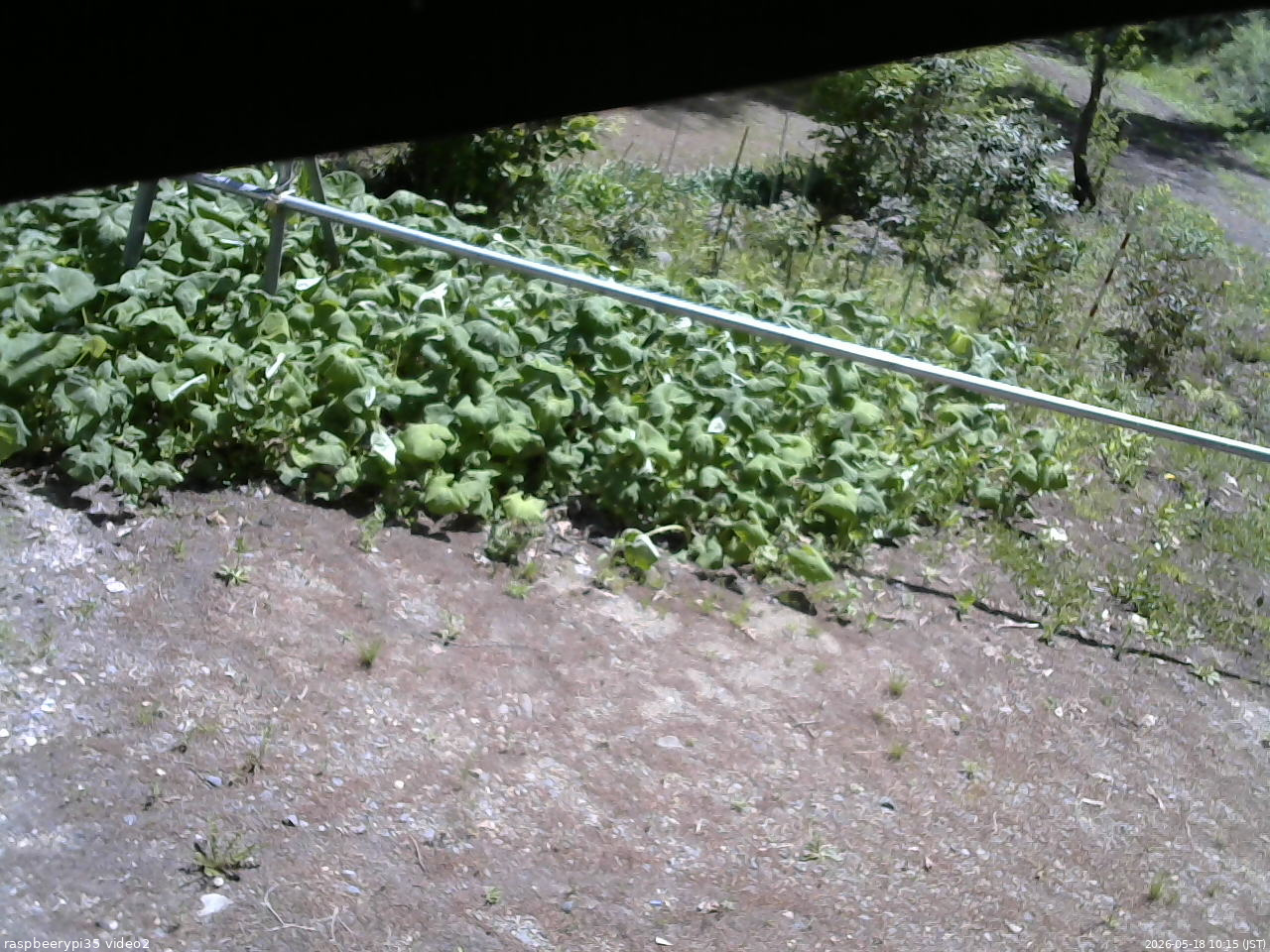 長野県菅平高原 ゆたか山荘 駐車場 2026/05/18 10:15